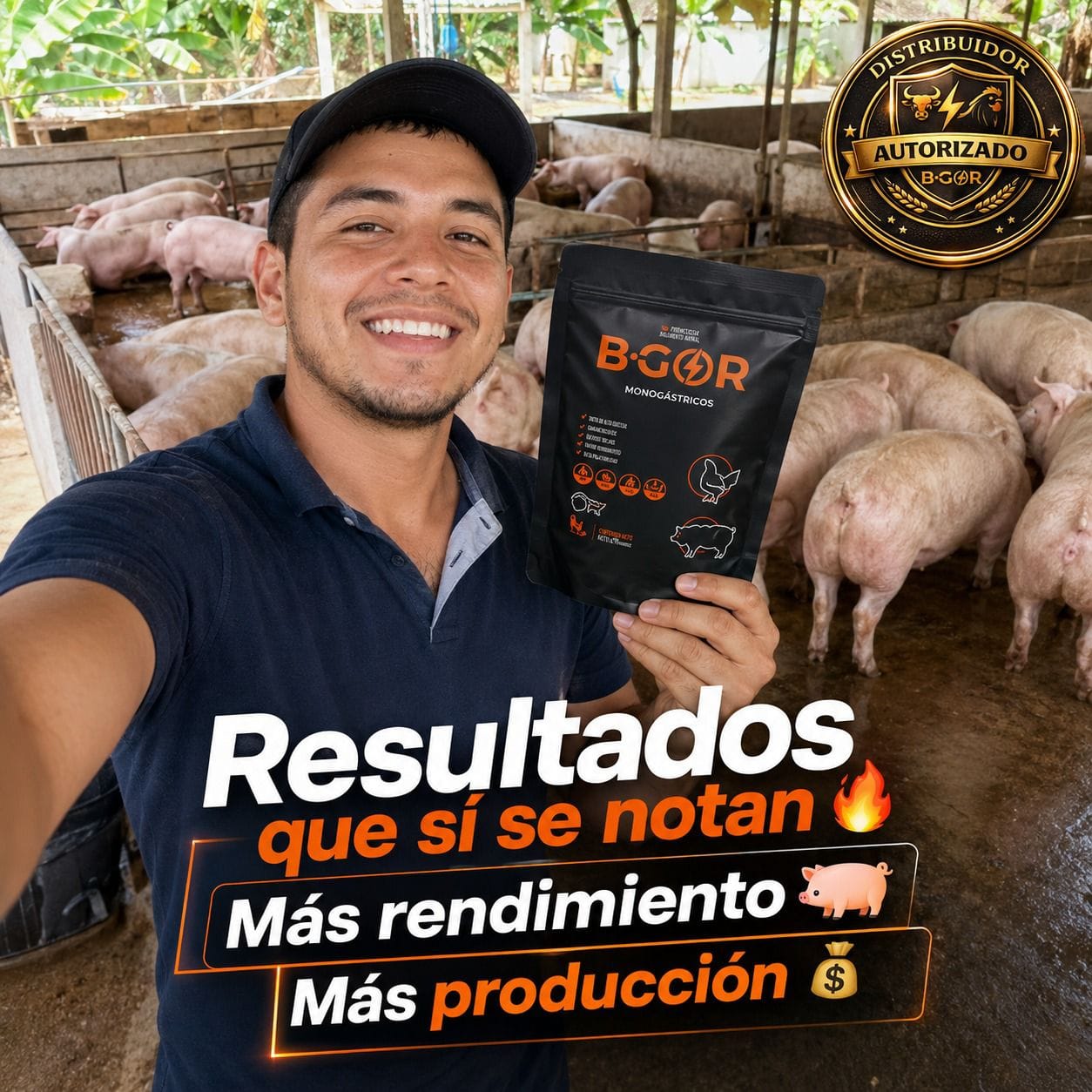Miniatura clasificado