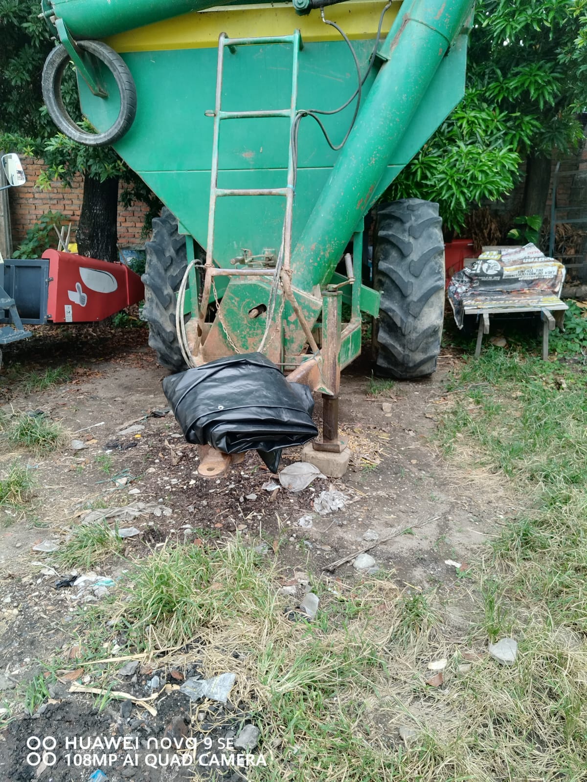 Miniatura clasificado