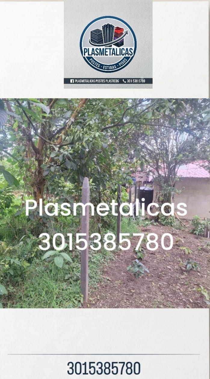 Miniatura clasificado